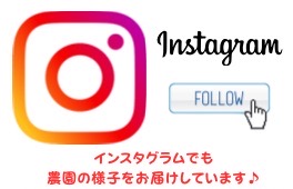 インスタグラムでも発信しています。